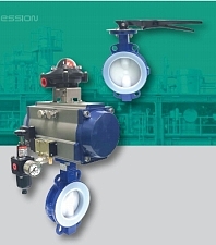 SKY LINED BUTTERFLY VALVE / ö̹